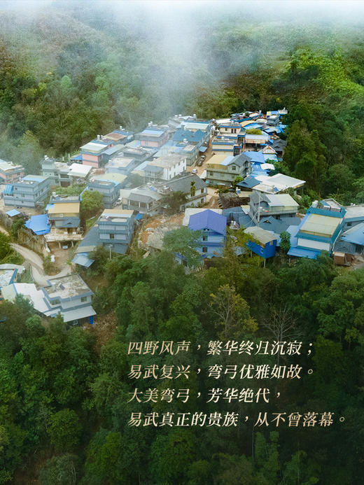 【弯弓】2023年700年古树纯料生茶今年只采瑶族片区高杆古树更核心更好喝拍5发6拍20发25加送单株 商品图2