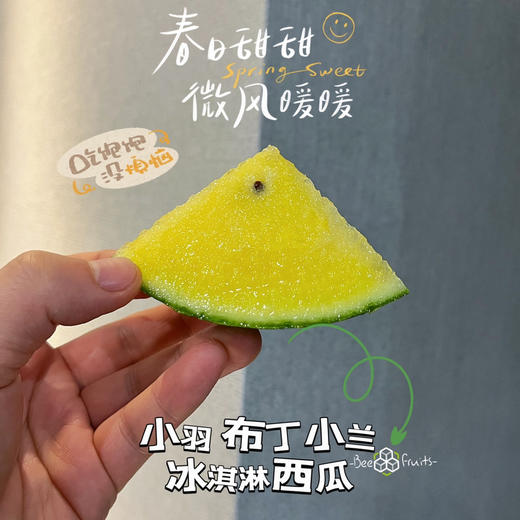 【小羽 黄西瓜】小羽黄西瓜/黑骑士，台湾引种，布丁小兰西瓜，黄瓤黑籽，口感嫩甜多汁，水份超级足！ 商品图8