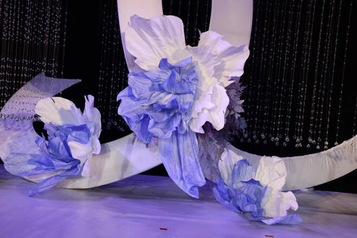 彩芍（运费自理） 商品图5