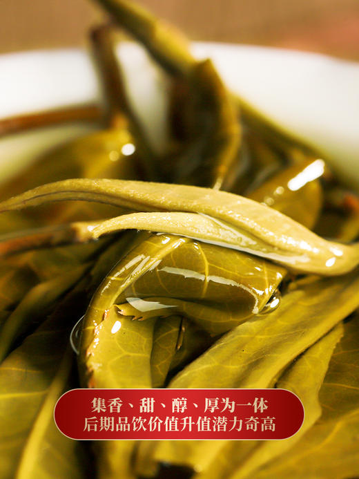 【冰岛地界】2023年冰岛地界600年古树纯料高端玩家追求之物普洱茶生茶357克茶饼，拍5发6，拍20发25加送单株 商品图6