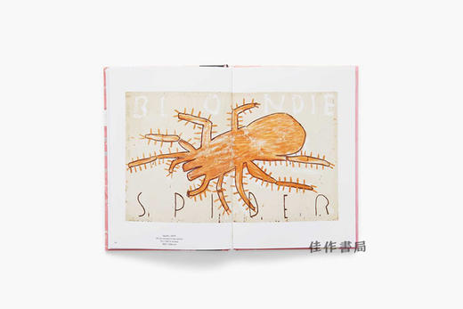 Rose Wylie: painting a noun / 罗斯·威利：画一个名词 商品图2