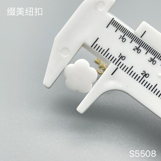S5508(整包购买) 商品图3