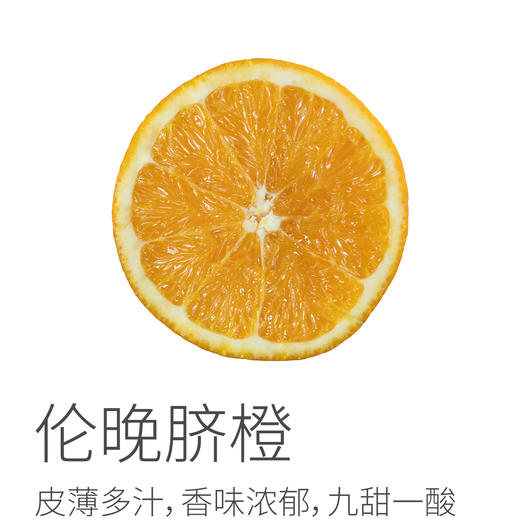 伦晚脐橙丨产地：湖北，3-6月份主推脐橙，脐橙皮薄多汁、香味浓郁、九甜一酸⭐️顺丰快递 商品图0