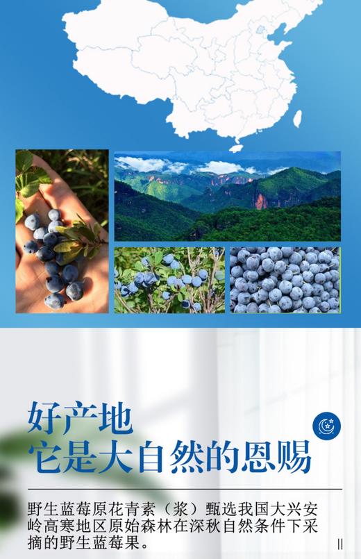 蓝莓乐芭迪野生蓝莓原浆浓缩汁口服液大兴安岭蓝莓花青素孕妇儿童饮品 商品图2
