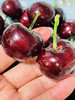 脆甜樱桃  当季时鲜  口感浓郁  肉厚多汁鲜泽泽 商品缩略图1