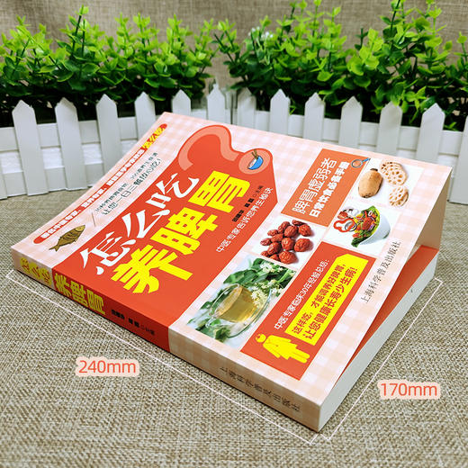 【正版】怎么吃养脾胃养好脾胃人不老 脾胃虚弱怎么吃 养生健脾养胃食谱调养脾胃 脾胃怎么养食疗药膳菜谱日常饮食 养脾胃书籍食疗养生书籍 商品图1