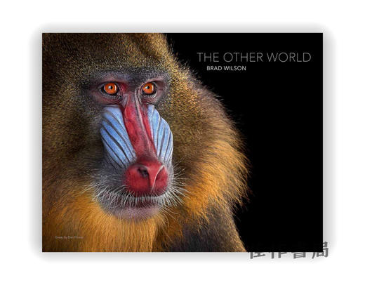 The Other World: Animal Portraits / 另一个世界：动物肖像 商品图0