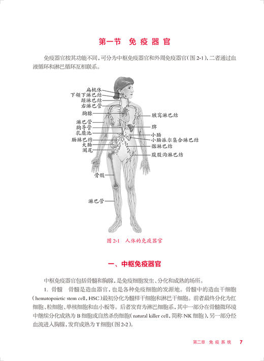 免疫学检验技术 第4版 李慧主编 十四五规划教材 全国中等卫生职业教育教材 供医学检验技术专业用 人民卫生出版社9787117345828 商品图4