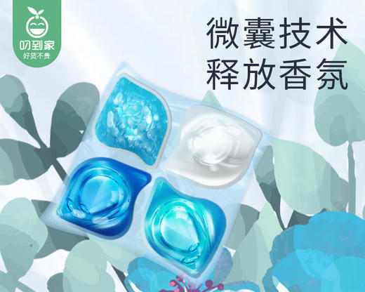 【到手2罐】尘澈奢定4合1洗衣凝珠/1份（300g*2罐，每罐30颗） 商品图3