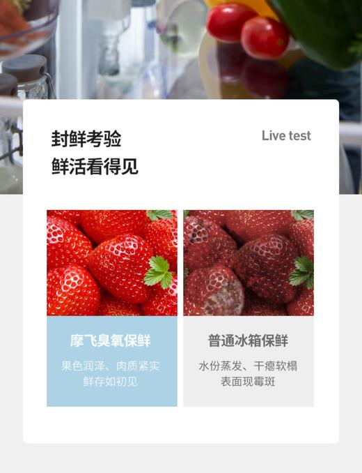 摩飞冰箱卫士除味器臭氧杀菌除臭空气净化器除菌消抑毒去异味神器 月销 23 商品图14