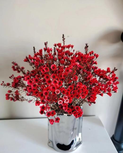 澳洲腊梅一束（拼团） 商品图6