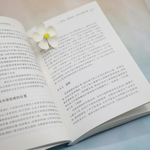 让数据成为生产力 数据全生命周期管理 商品图1