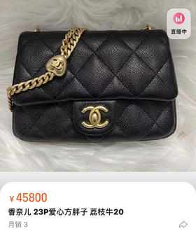 23新款方胖子。2990元 24X19X9cm。20X14X8cm 2880元