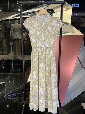 女士短袖真丝连衣裙