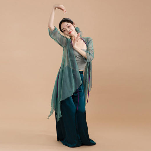古典舞纱衣长款青蛇身韵纱衣练功服飘逸中国舞舞蹈服仙气演出服上 商品图7