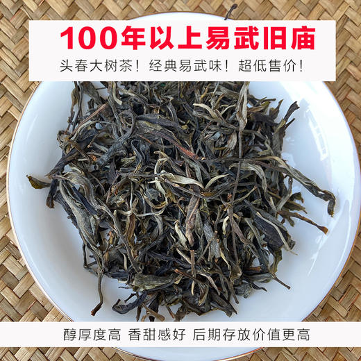 易武普洱茶 旧庙普洱大树古树普洱茶生茶散茶春茶2023年纯料包邮 商品图0