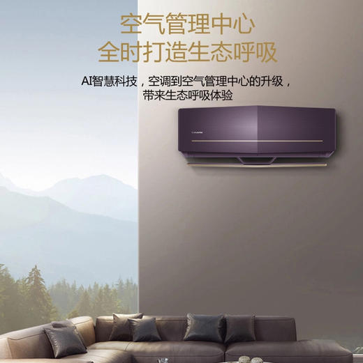 卡萨帝（Casarte）空调 CAS353WFA(81)U1套机 商品图2