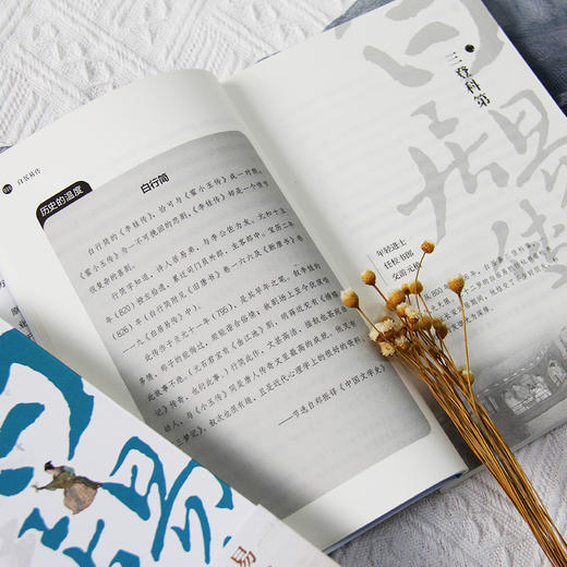 《白居易传》+《杜甫传》套装 商品图2