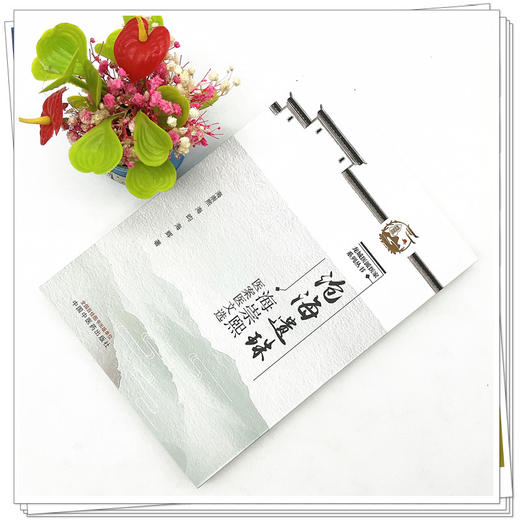 沧海遗珠：海崇熙医案医文选  海崇熙 海昀 著 中国中医药出版社  龙城医派医家系列丛书  商品图2