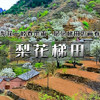 周三 /周末1天【梨花梯田 68元】世外桃源茅舍疏篱の谷雨时节赏大山深处梨花村-休闲户外徒步赏花 商品缩略图0