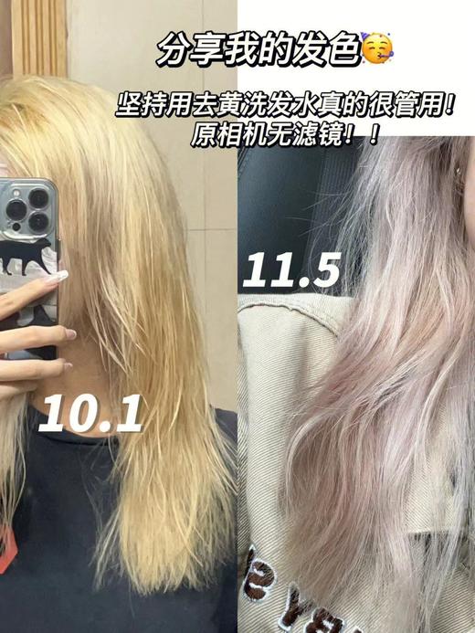 【保税仓】Fanola法诺拉去黄护发素350ml/瓶 商品图2