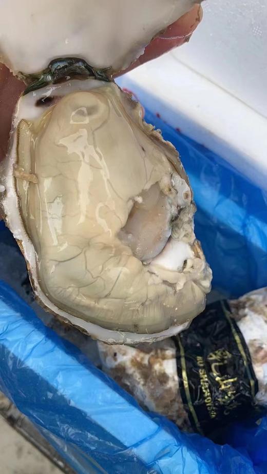 乳山生蚝（重3斤左右8个左右） 商品图0