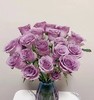 紫霞仙子玫瑰10枝 商品缩略图1