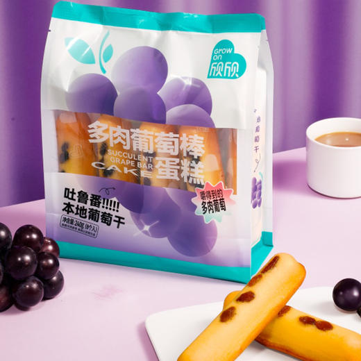 欣欣多肉葡萄棒蛋糕240g 商品图0