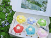 出游——五彩缤纷（纸杯蛋糕） 商品缩略图1