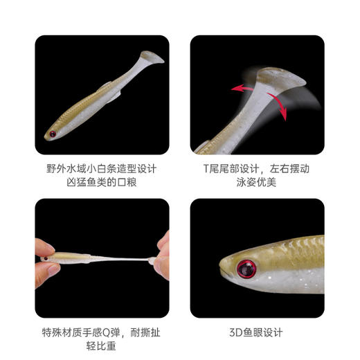 飞蚂蚁FISHANT胖真鱼T尾软饵 商品图2