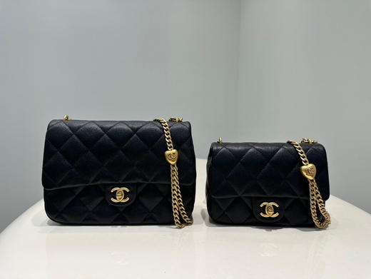 23新款方胖子。2990元 24X19X9cm。20X14X8cm 2880元 商品图11