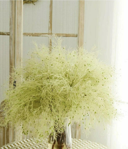 【醉春烟】柔丝  若干枝/扎 商品图0