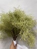 【醉春烟】柔丝  若干枝/扎 商品缩略图6