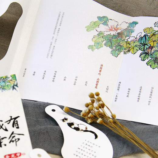 《假如我有九条命》余光中先生写作50年散文精粹 商品图8