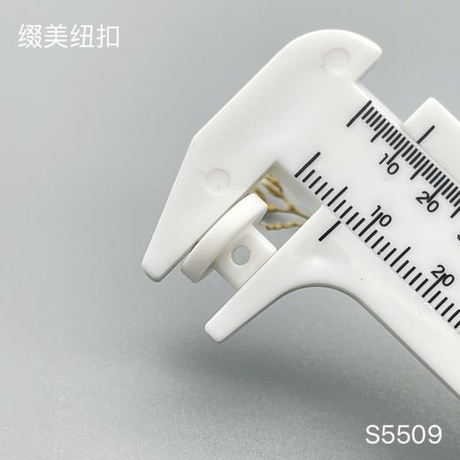 S5509(整包购买) 商品图4
