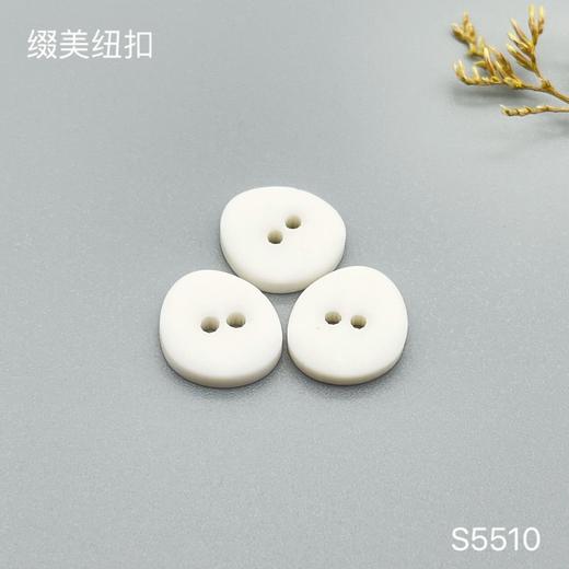 S5510(整包购买) 商品图0