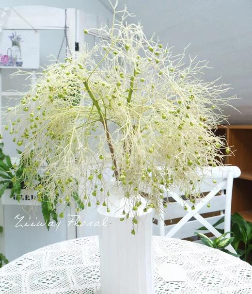 【醉春烟】柔丝  若干枝/扎 商品图1