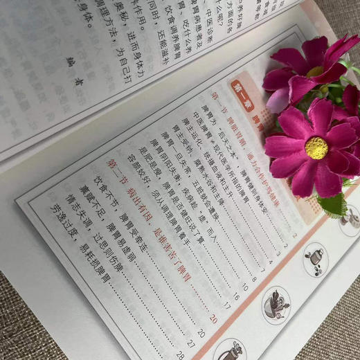 【正版】怎么吃养脾胃养好脾胃人不老 脾胃虚弱怎么吃 养生健脾养胃食谱调养脾胃 脾胃怎么养食疗药膳菜谱日常饮食 养脾胃书籍食疗养生书籍 商品图2