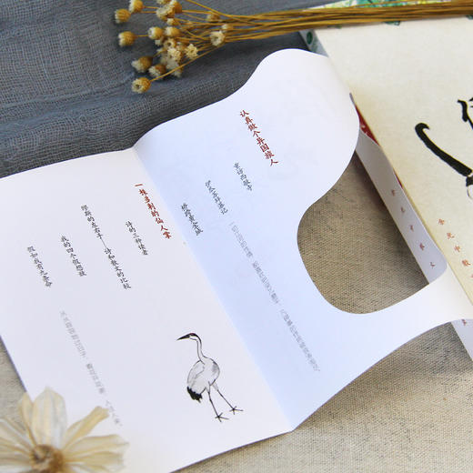 《假如我有九条命》余光中先生写作50年散文精粹 商品图3