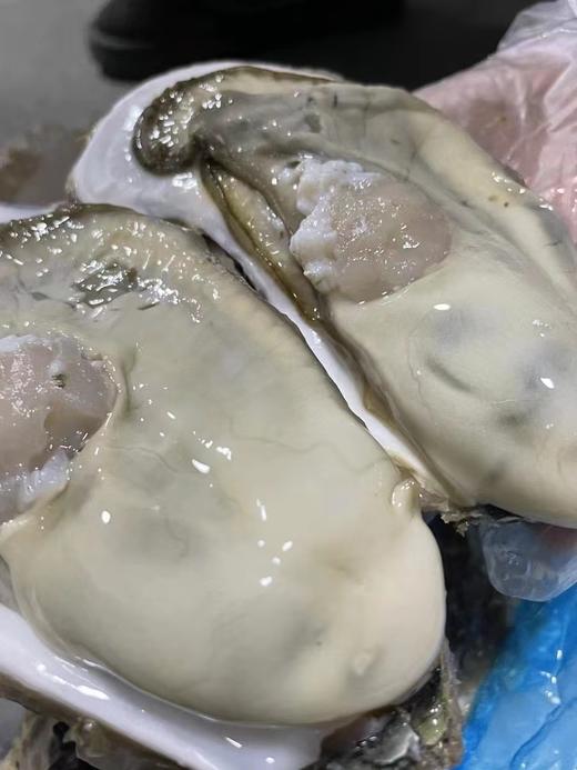 乳山生蚝（重3斤左右8个左右） 商品图2