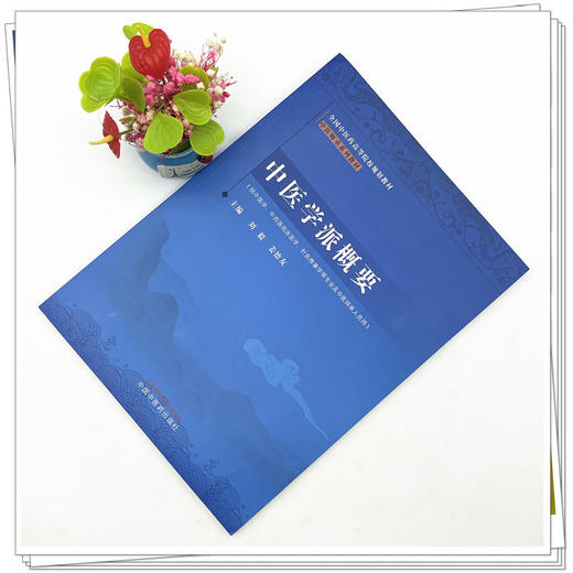 中医学派概要 中医师承系列 刘毅 姜德友 主编 中国中医药出版社 全国中医药高等院校规划教材中医师承系列教材 商品图2