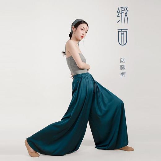 古典舞纱衣长款青蛇身韵纱衣练功服飘逸中国舞舞蹈服仙气演出服上 商品图5