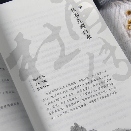 《白居易传》+《杜甫传》套装 商品图12