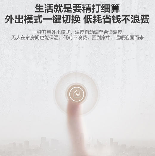 海尔（Haier）壁挂炉 L1PB20-HM(T) 商品图4