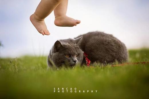 三草摄影8周年大促 商品图5