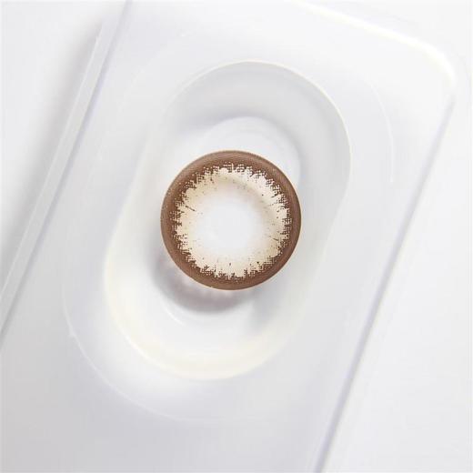 大直径年抛 agenscolor超大波斯菊棕美瞳 直径14.5着色14.4 韩国 商品图2