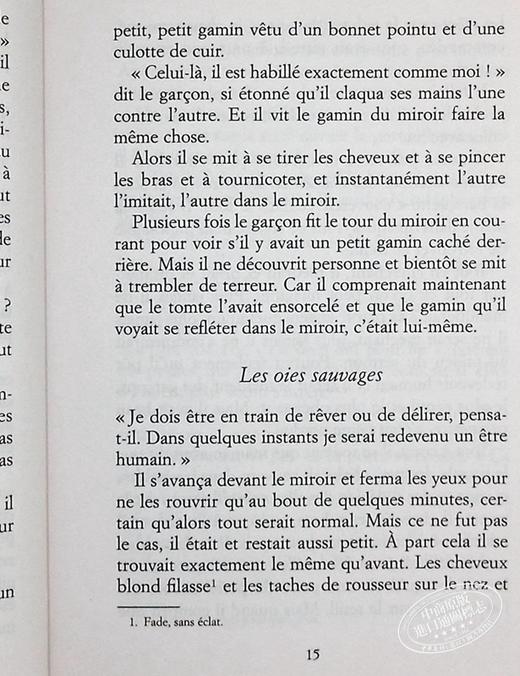 【中商原版】尼尔斯骑鹅旅行记 法文原版 Le merveilleux voyage de Nils Holgersson Selma Lagerlöf 商品图7