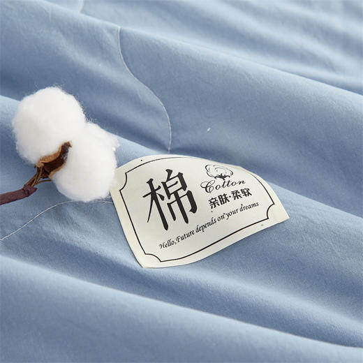 【床上用品】A类里外全棉夏凉被纯棉棉花空调被纯色夏被 商品图3