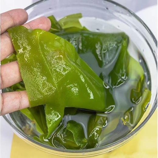 海带苗3袋（拼团） 商品图1