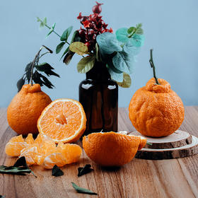 有机不知火丑橘5斤/8斤